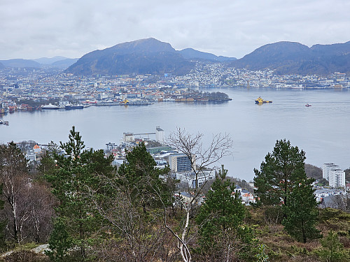 Bergen fra Ørneberget
