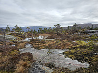oppe på høyden der jeg tok av fra stien som går til Høgafjellet