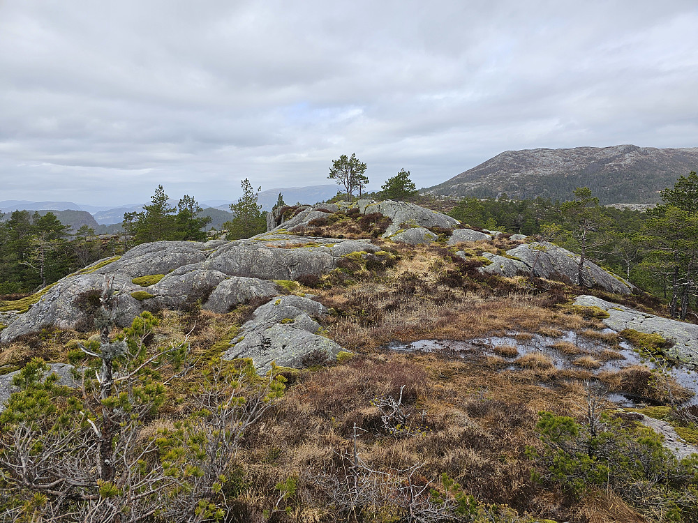toppen på Børslifjell 402