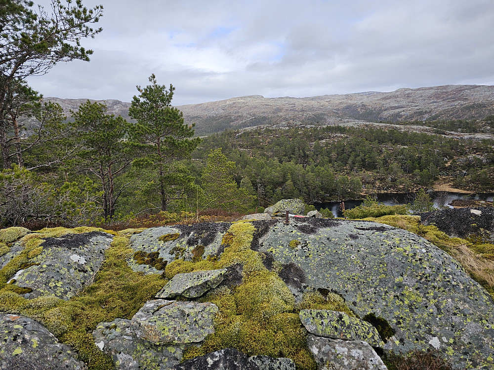 Børslifjell med utsikt østover mot Høgafjellet