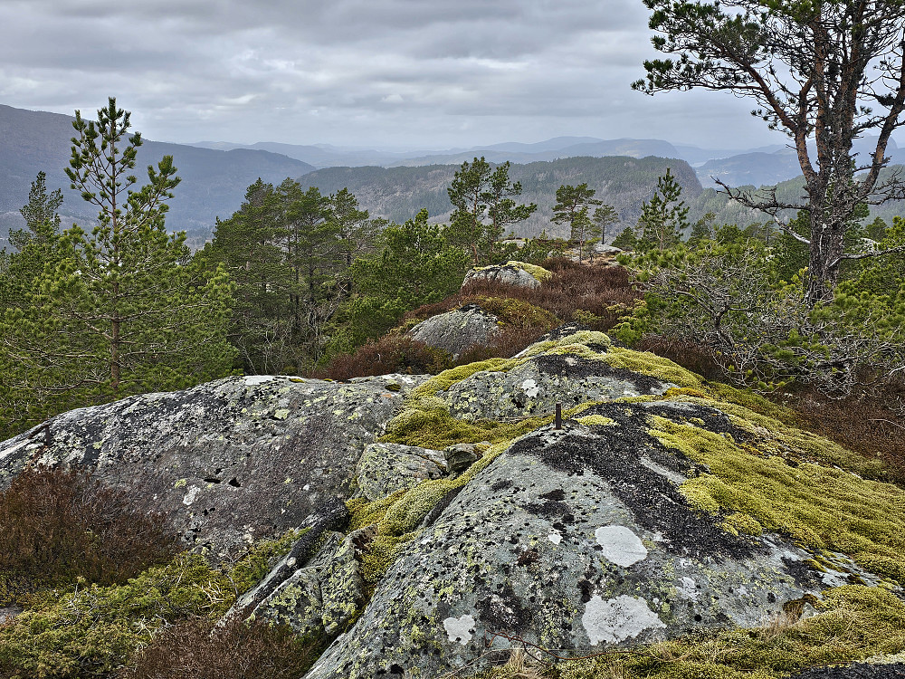 utsikt fra Børslifjell nordover der vi ser litt av Løtveitfjellet og Bjørnshovdane