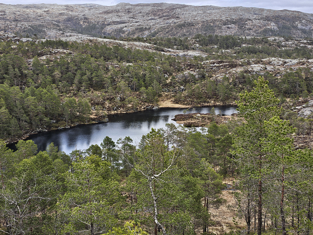 Ørnebergstjørna fra Børslifjell