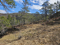 gjennom skog og åpent terreng oppover