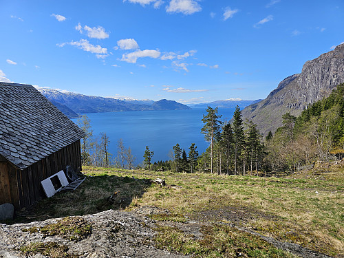utsikt utover Hardangerfjorden fra Hedler