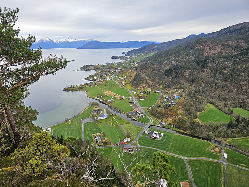 Strandebarm fra Fløyen