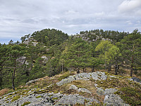 oppe på en knaus, Bufjellet bakerst 