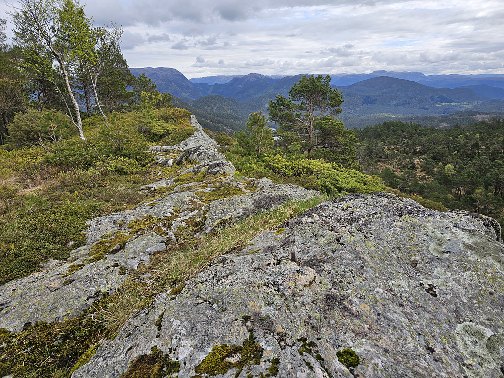 Bufjellet 244