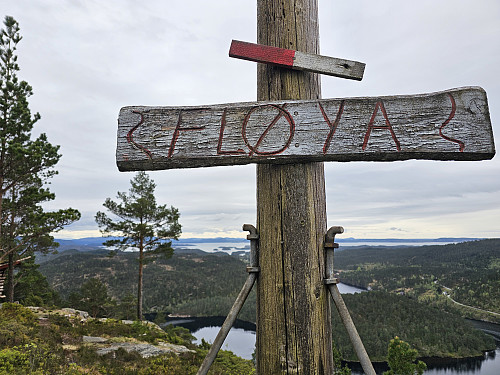 Fløya