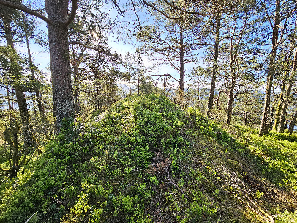 Duesundfjellet 247