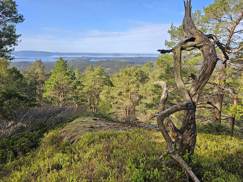 litt utsikt mot vest