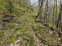 traktorvei opp til Kvernhusdalen