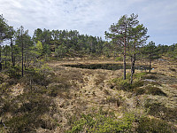 toppen i sikte