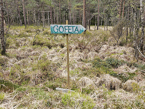 skiltet Gofeta