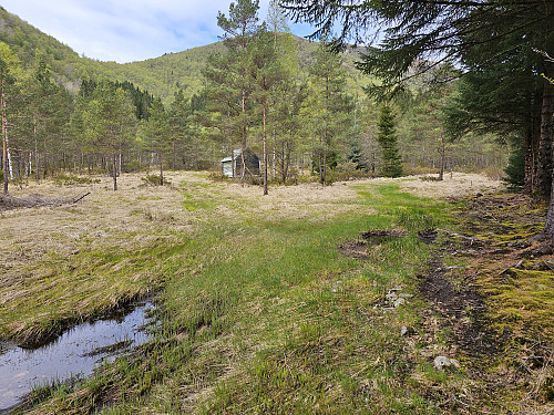 Gofeta, gammel støl? 