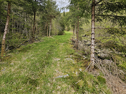 nedre del av traktorveien fra Gofeta