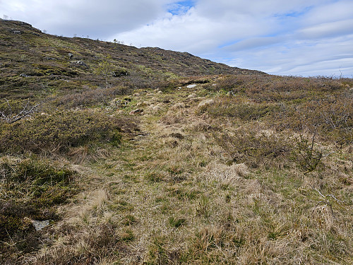 øvre del av traktorveien mot Steinebrekka