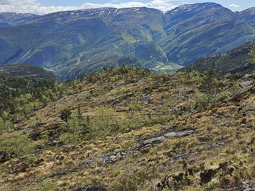 passert det bratte under toppen, her fra ryggen vest for stølen