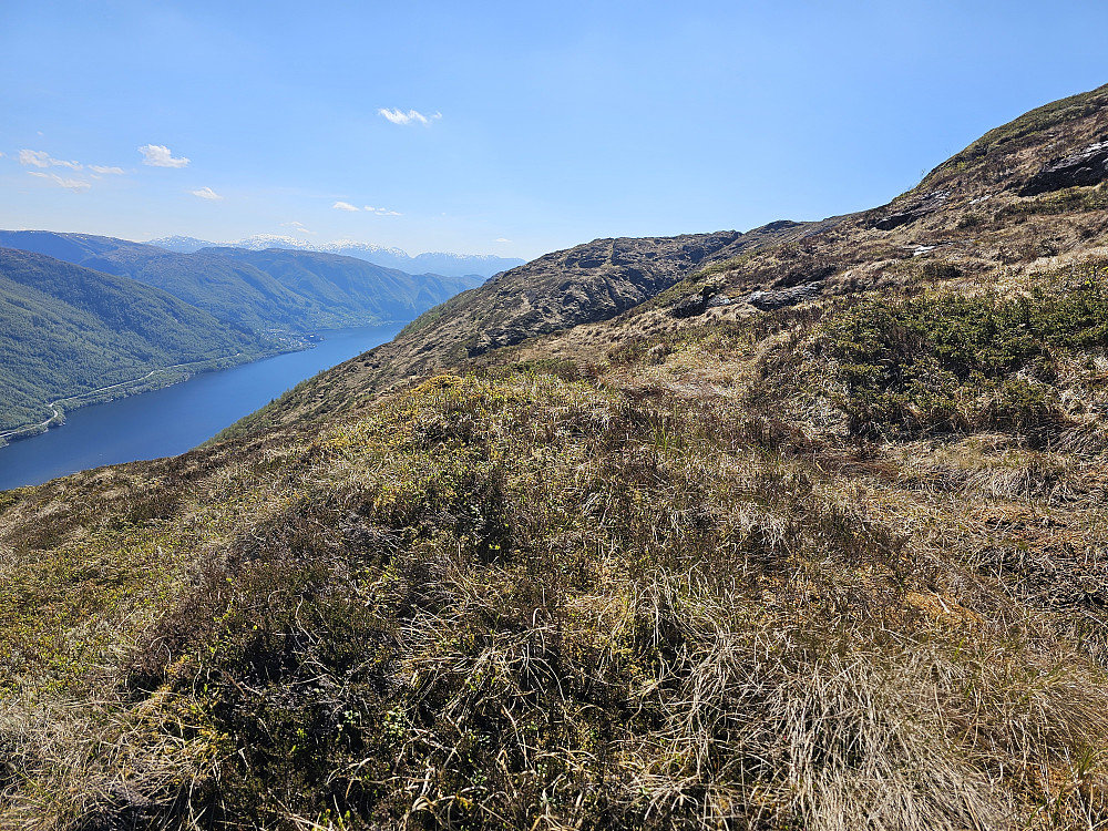 jeg kom til at denne litte lynghaugen på Osterøy kommune er den mest øde stedet i kommunen