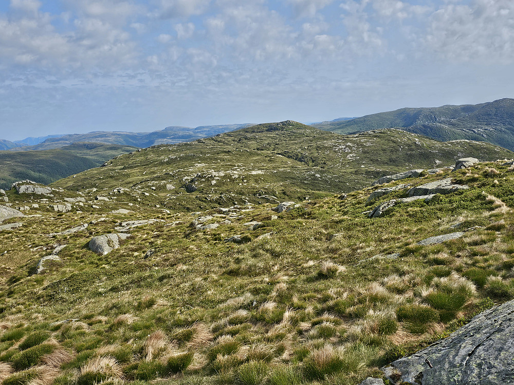 Gulbrekkefjellet sett fra Sleirsfjellet