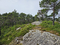 trig,p, på Hesthaugen