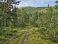 først på traktorvei