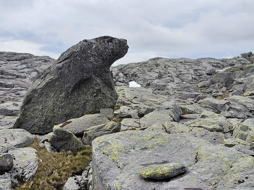 en spesiell stein, ca. 4 m. høy viser vei videre