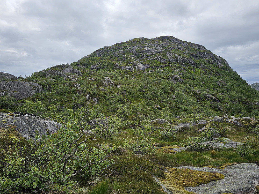 tilbakeblikk mot ryggen fra området ved Floren