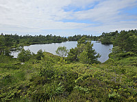 ved Skinntjørnane