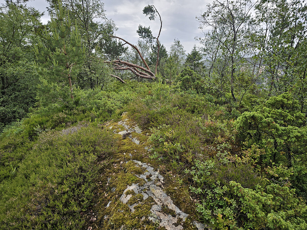 Nordåsen 179