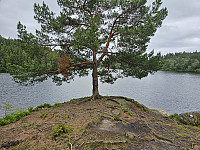 ytterst på piren på Storevatnet 