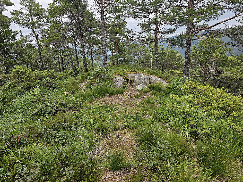 Nordre Gamletjørnhaugen 181