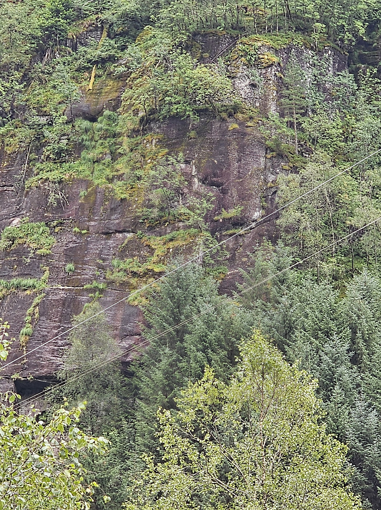 steintrapper skimtes i øvre billedkant