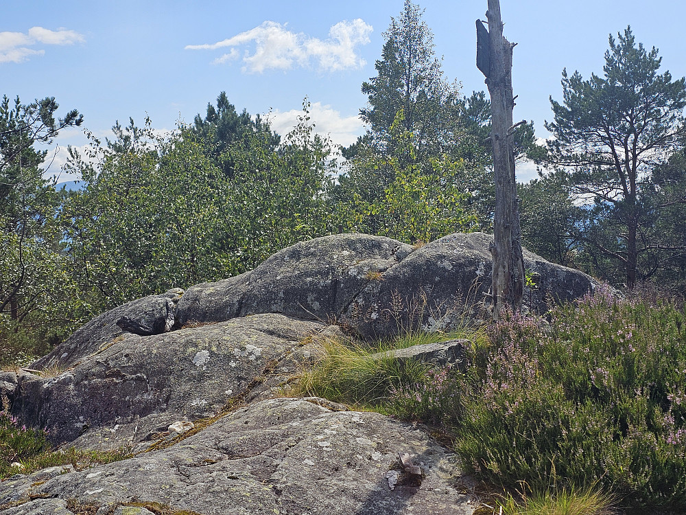 Påskeåsen 181