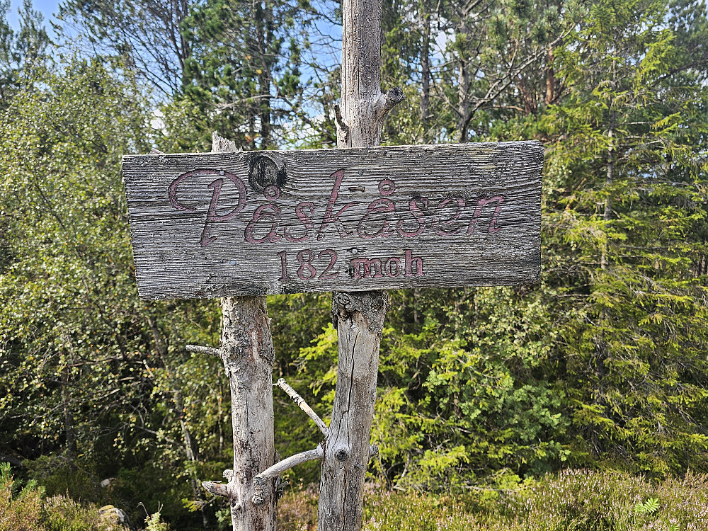 Påskeåsen 181