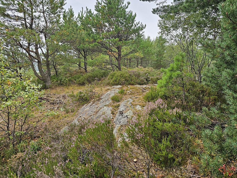 Langaberget 110