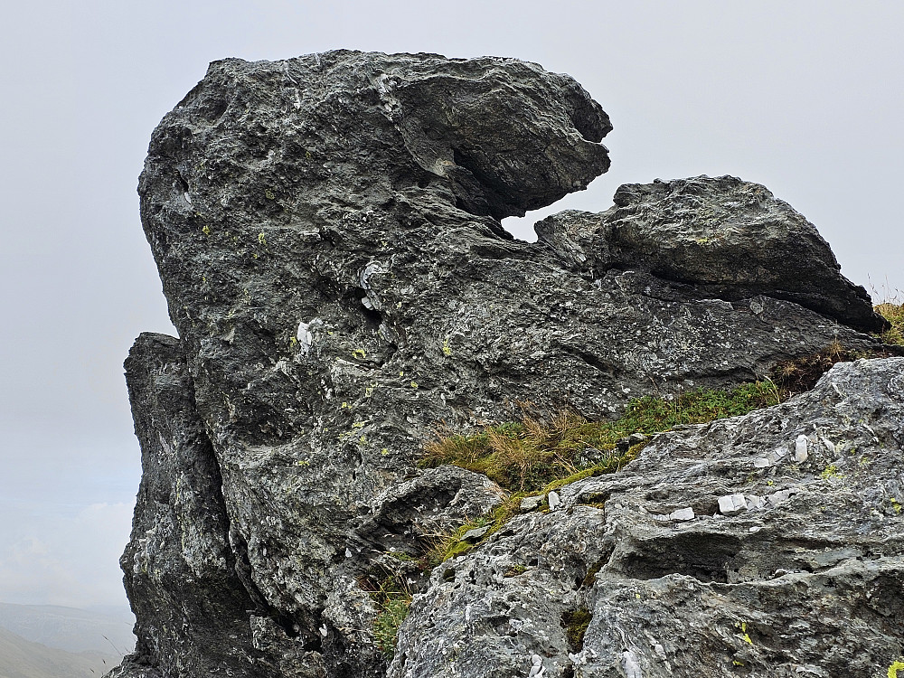 steinformasjon på Gråskorvenuten