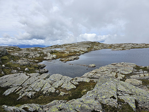 tjern 1042