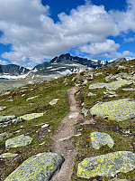 geirclaussen_20230709_64aaa218a989d.jpeg