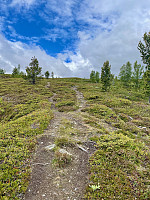 geirclaussen_20240615_666d7e10483b6.jpeg