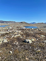 geirclaussen_20240918_66eb26d0baff0.jpeg