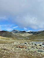 geirclaussen_20241020_6714f31b101dc.jpeg