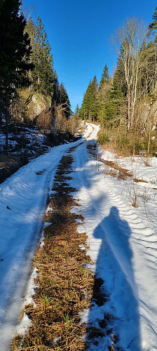 Traktorvei innover Tvedalen