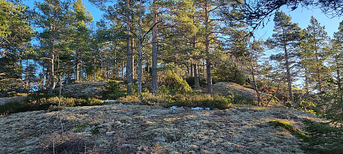 oppover Brånåklovåsen NØ