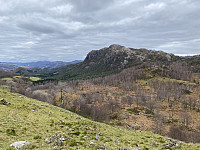 Tollak_20231217_657f429a33f9e.jpg