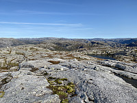 Tollak_20231217_657f45598bcea.jpg