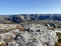 Tollak_20231217_657f455db70ab.jpg