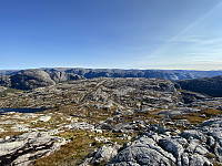 Tollak_20231217_657f4560953ee.jpg