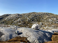 Tollak_20231217_657f456650ffe.jpg