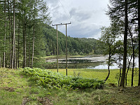 Tollak_20231218_65805ff05a9a7.jpg