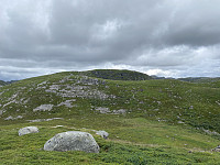 Tollak_20231218_658064466a6a3.jpg
